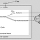 Image for article titled What You Should Know About the Low-carb Ketogenic Diet